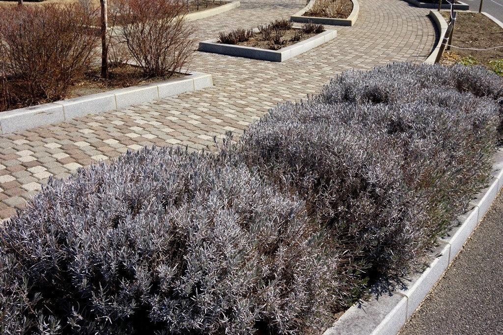 e0223456_09131062.jpg