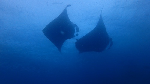 f0185161_22475973.jpg