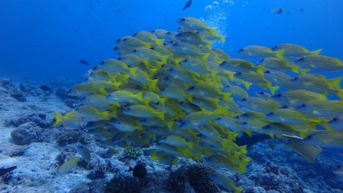 f0185161_22513410.jpg
