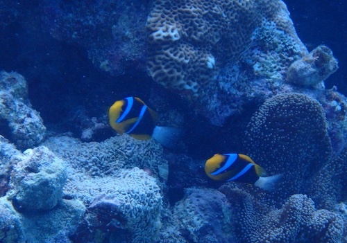 f0185161_22525259.jpg