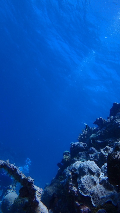 f0185161_22543769.jpg