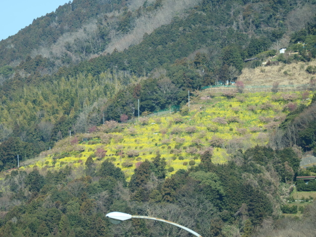 f0345263_00543719.jpg