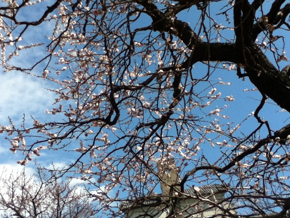 b0037867_16013417.jpeg