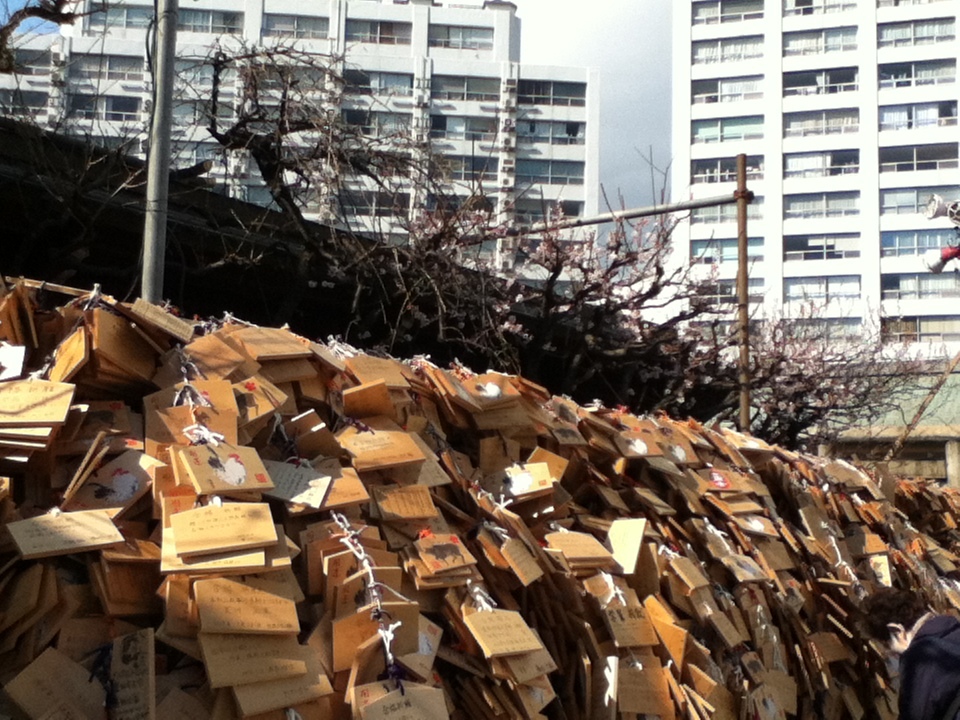 b0037867_16015928.jpeg