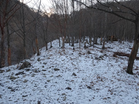 c0303868_04461469.jpg