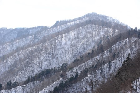 c0303868_05000069.jpg
