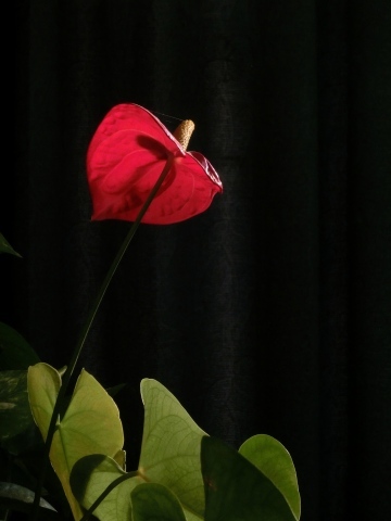 e0045768_23023713.jpg