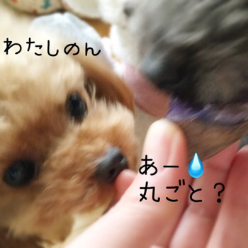 f0322570_14301807.jpg