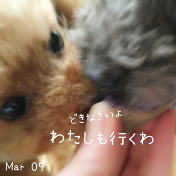 f0322570_14301894.jpg