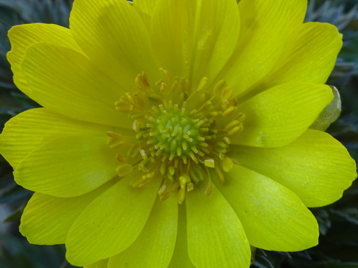 c0143772_1710438.jpg