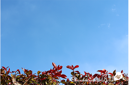 b0314274_18271171.png