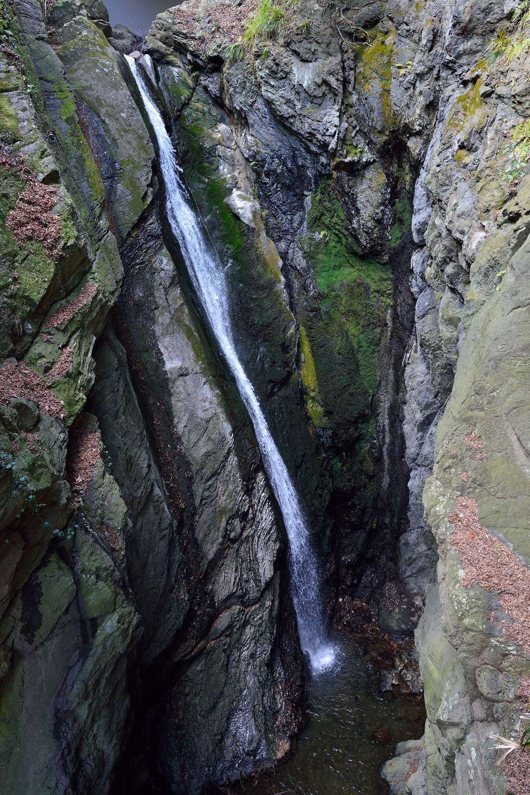 d0328977_10343439.jpg