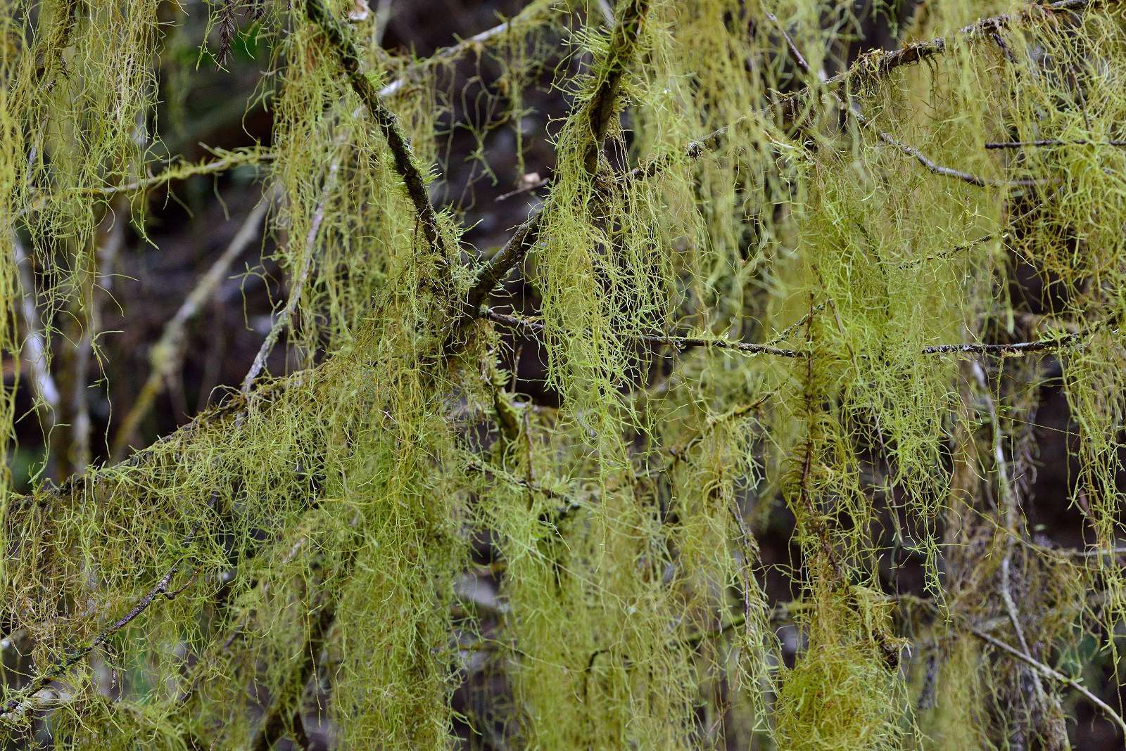 d0328977_18224435.jpg