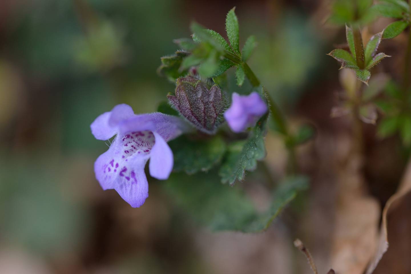 d0328977_19011935.jpg