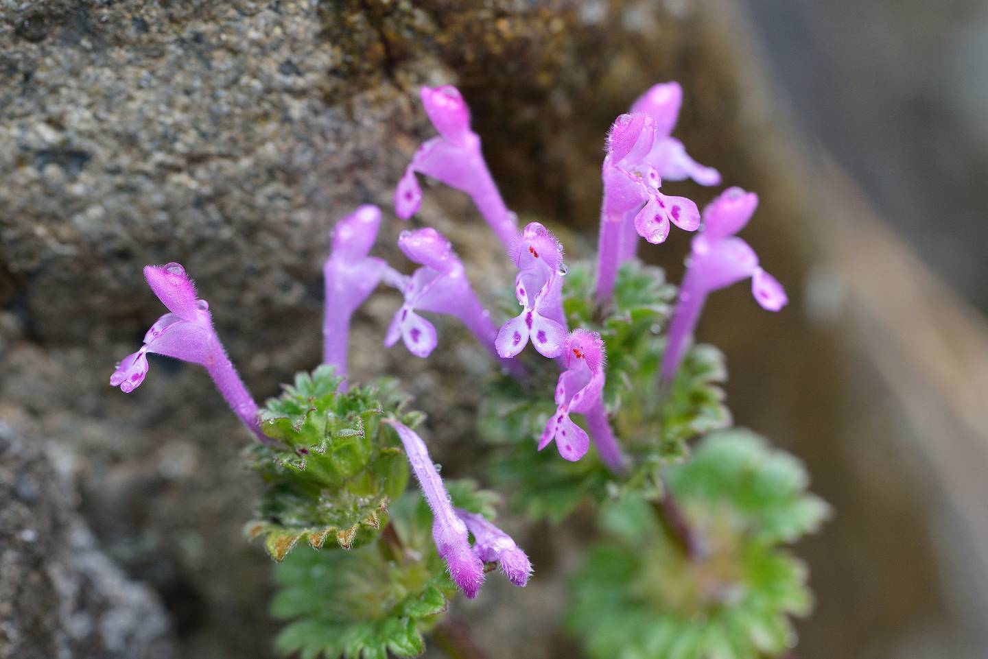 d0328977_19031129.jpg
