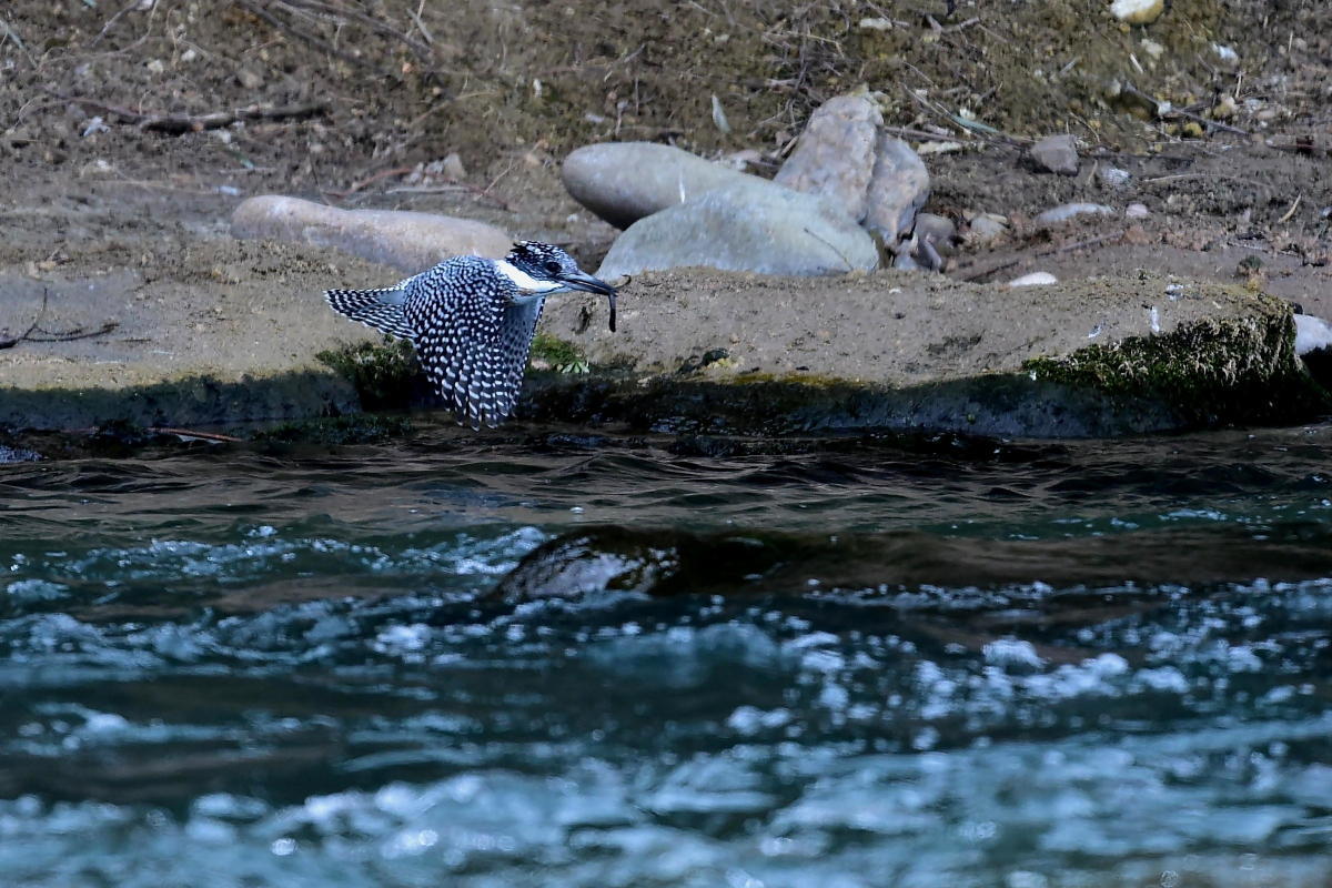 c0144588_22205566.jpg