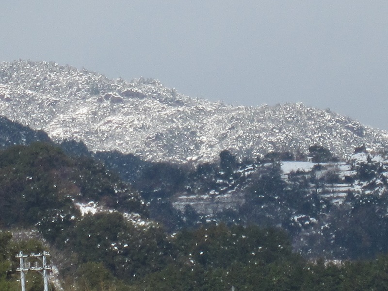 a0170390_04492642.jpg