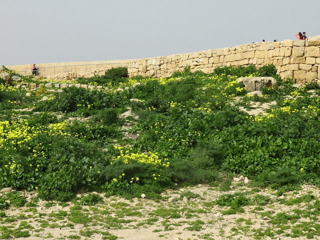 f0346196_20283309.jpg