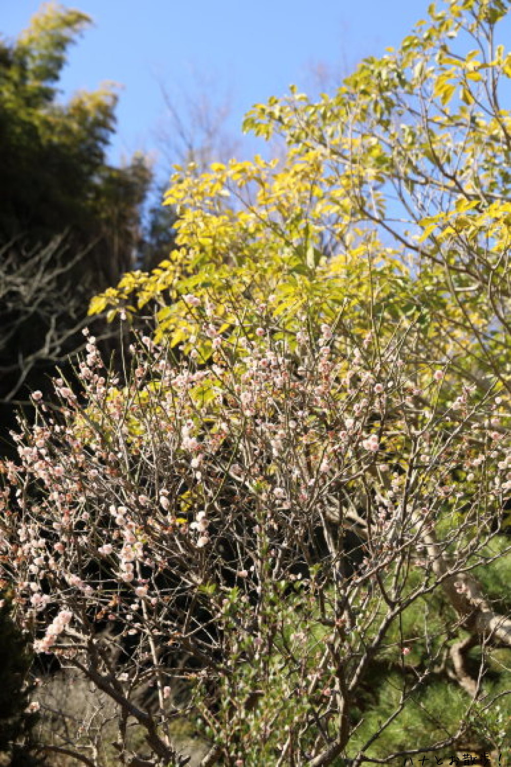 b0275998_11465598.jpg