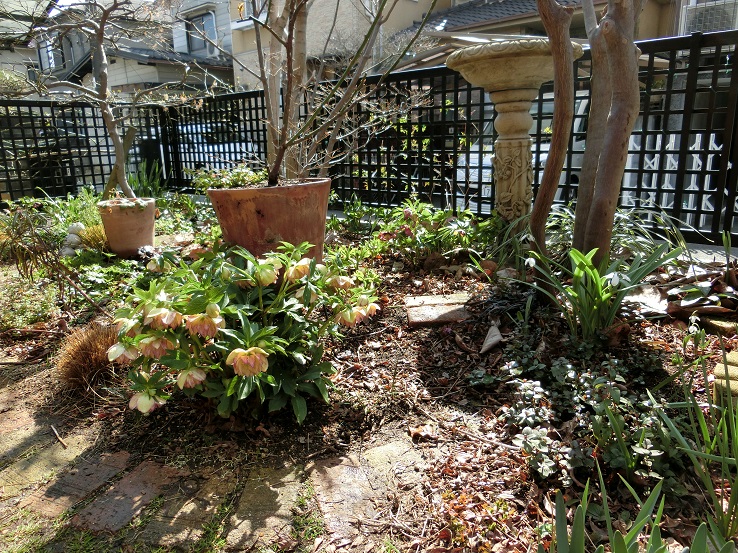 e0234004_22422516.jpg
