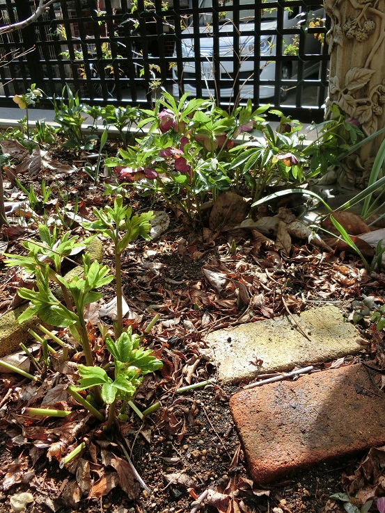 e0234004_22424750.jpg