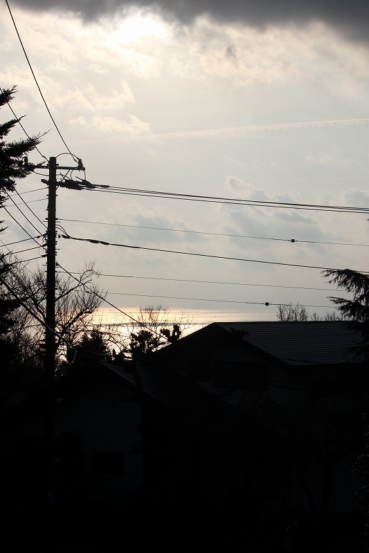 f0039907_1438299.jpg