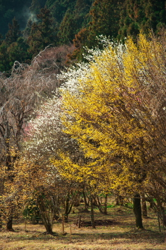 a0263109_19362287.jpg