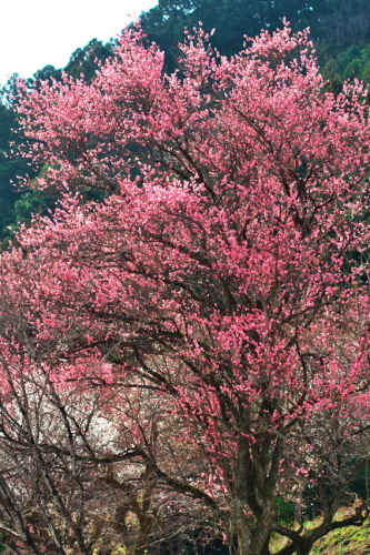 a0263109_19383607.jpg