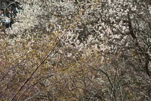 a0263109_19464831.jpg