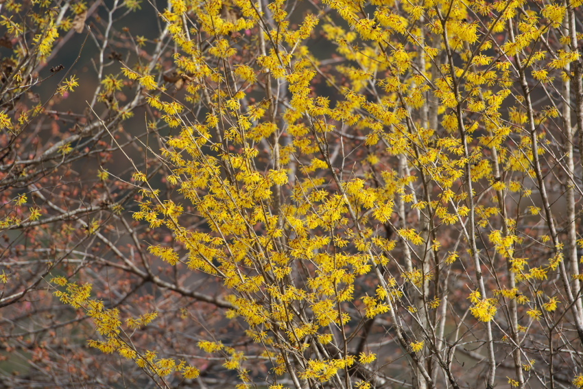 a0263109_19465095.jpg