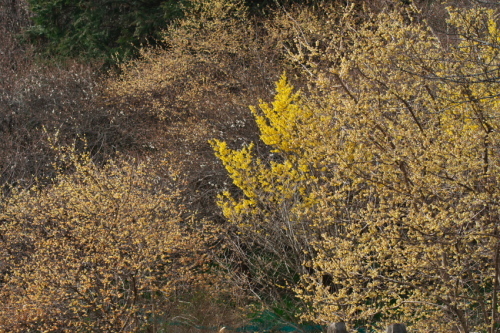 a0263109_19482410.jpg