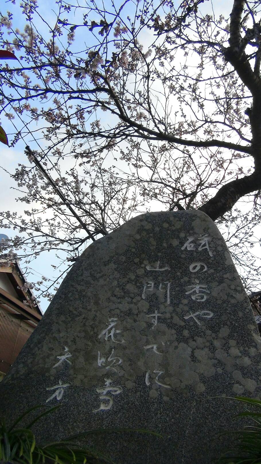 f0231709_231294.jpg