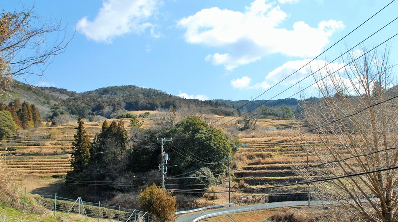 b0147014_13565983.jpg