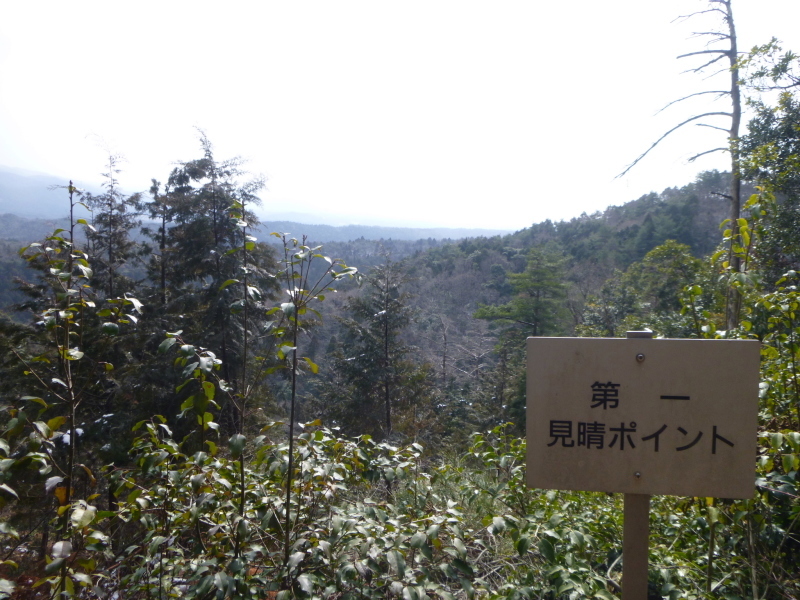 d0170615_17491358.jpg