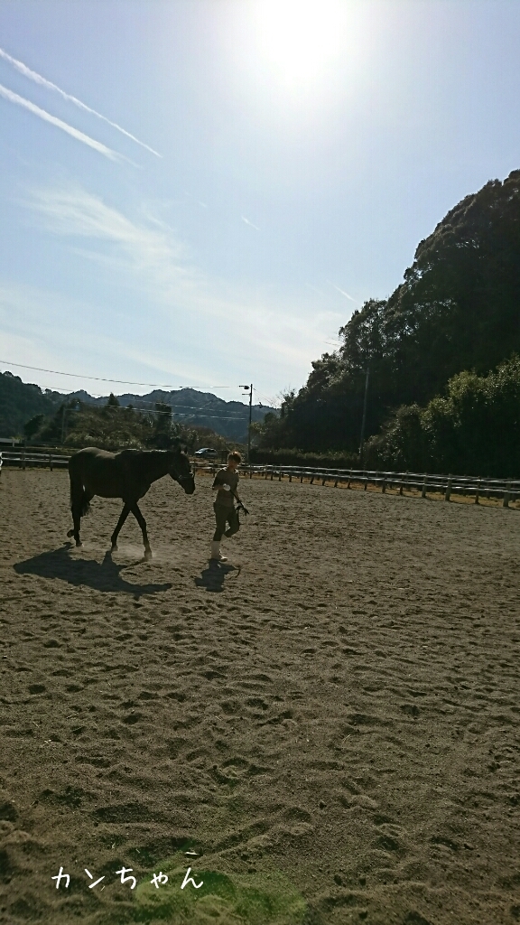 b0187620_20435289.jpg