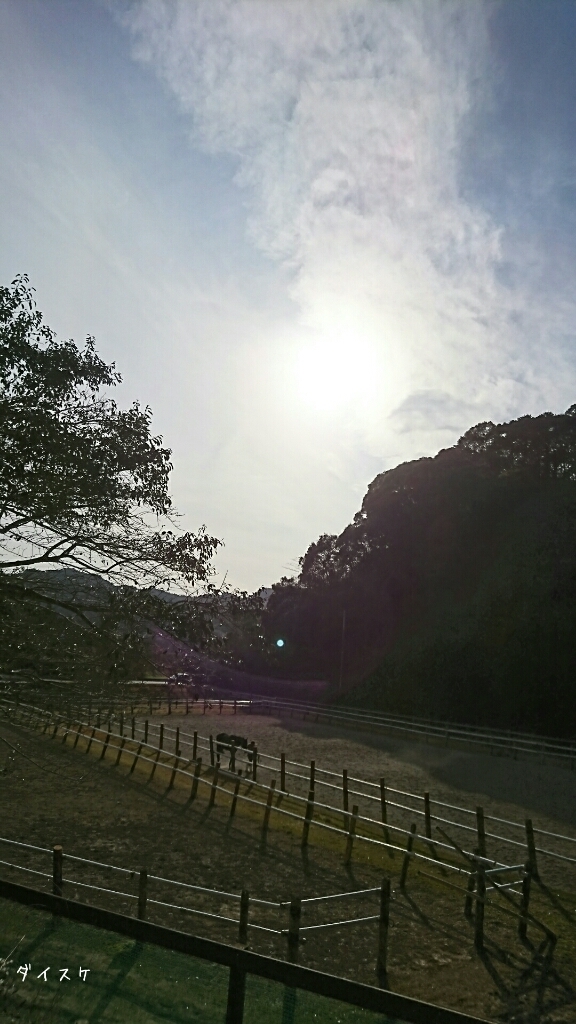 b0187620_20435523.jpg