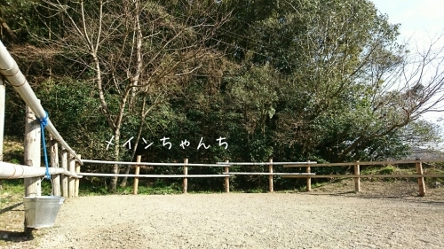 b0187620_20440060.jpg
