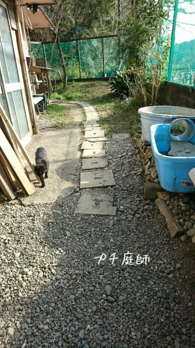 b0187620_20440620.jpg