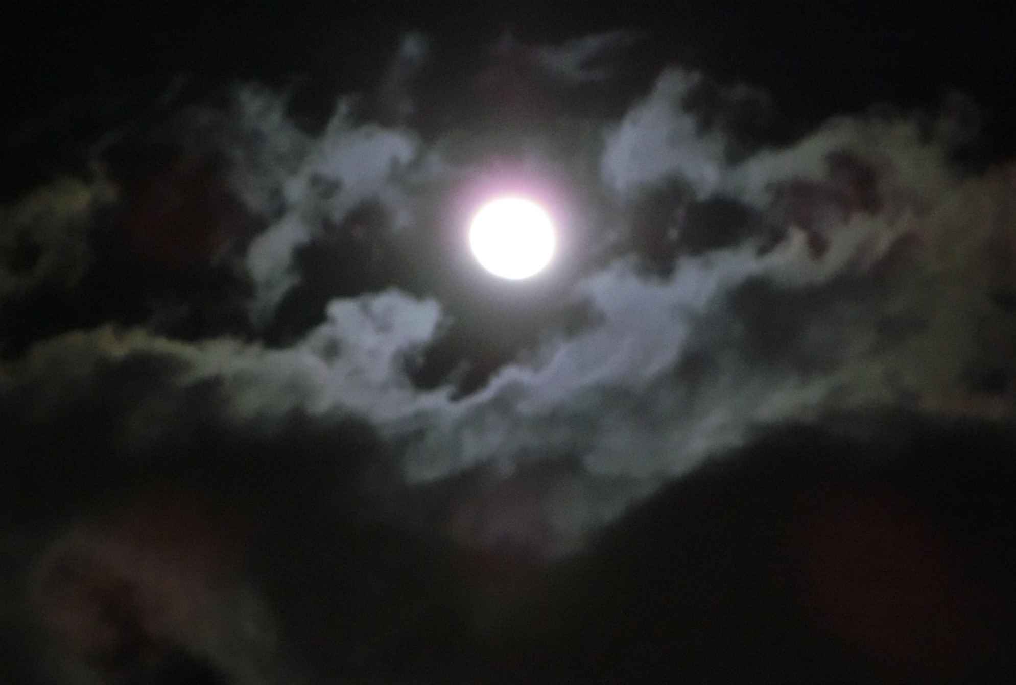 f0354923_22455834.jpg