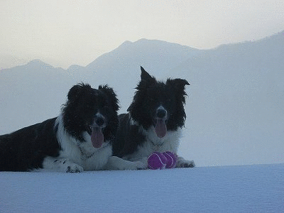 d0015124_13493821.gif