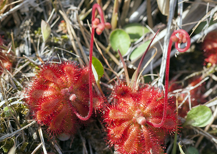 d0147530_15434977.jpg