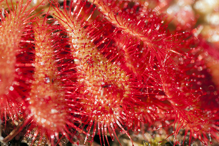 d0147530_15441318.jpg