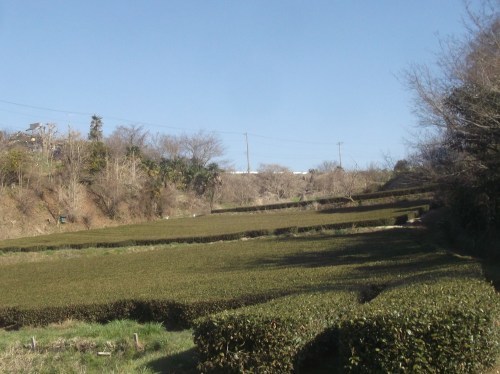 b0137932_17291020.jpg
