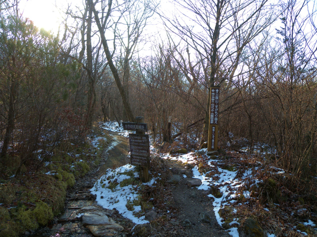 e0272335_19261237.jpg