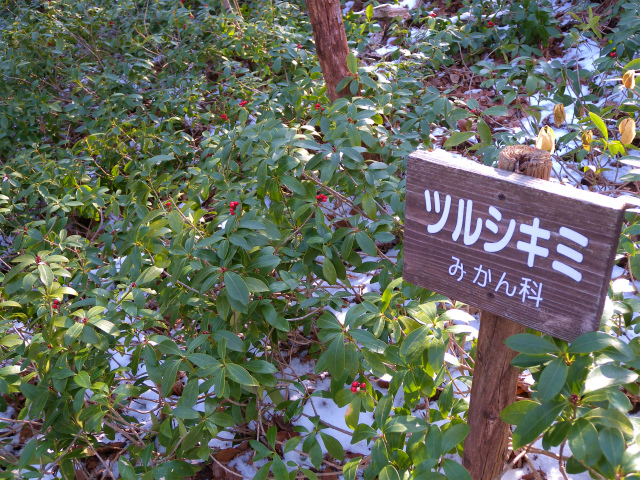 e0272335_19303479.jpg
