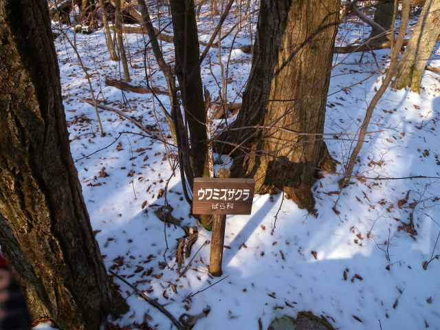e0272335_19343788.jpg