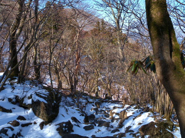 e0272335_19502183.jpg