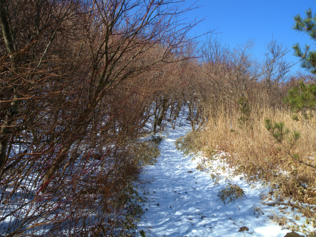 e0272335_19574349.jpg