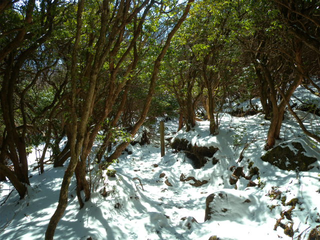 e0272335_2012060.jpg