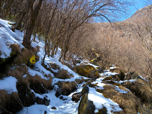e0272335_2024196.jpg